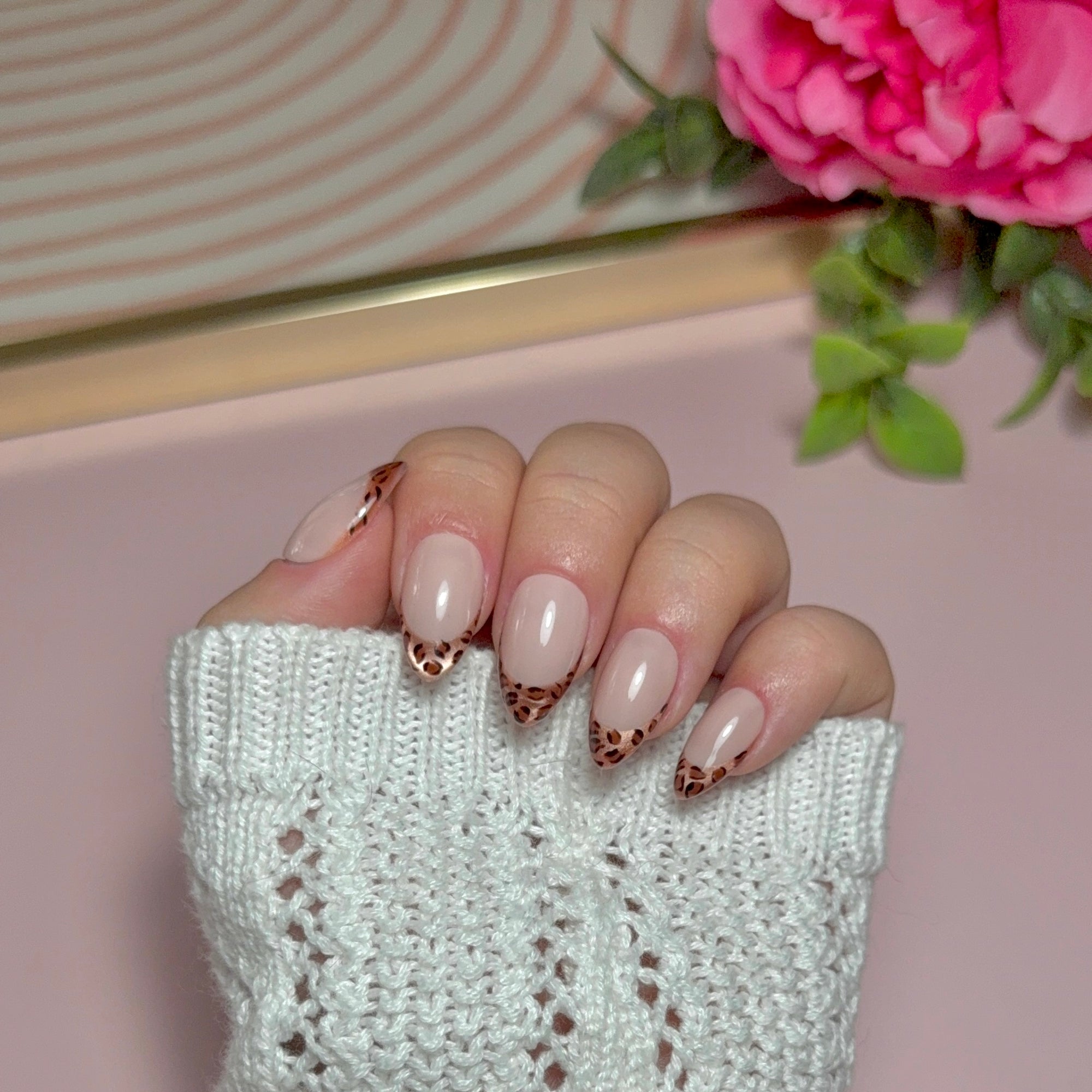 Wild French - leopard