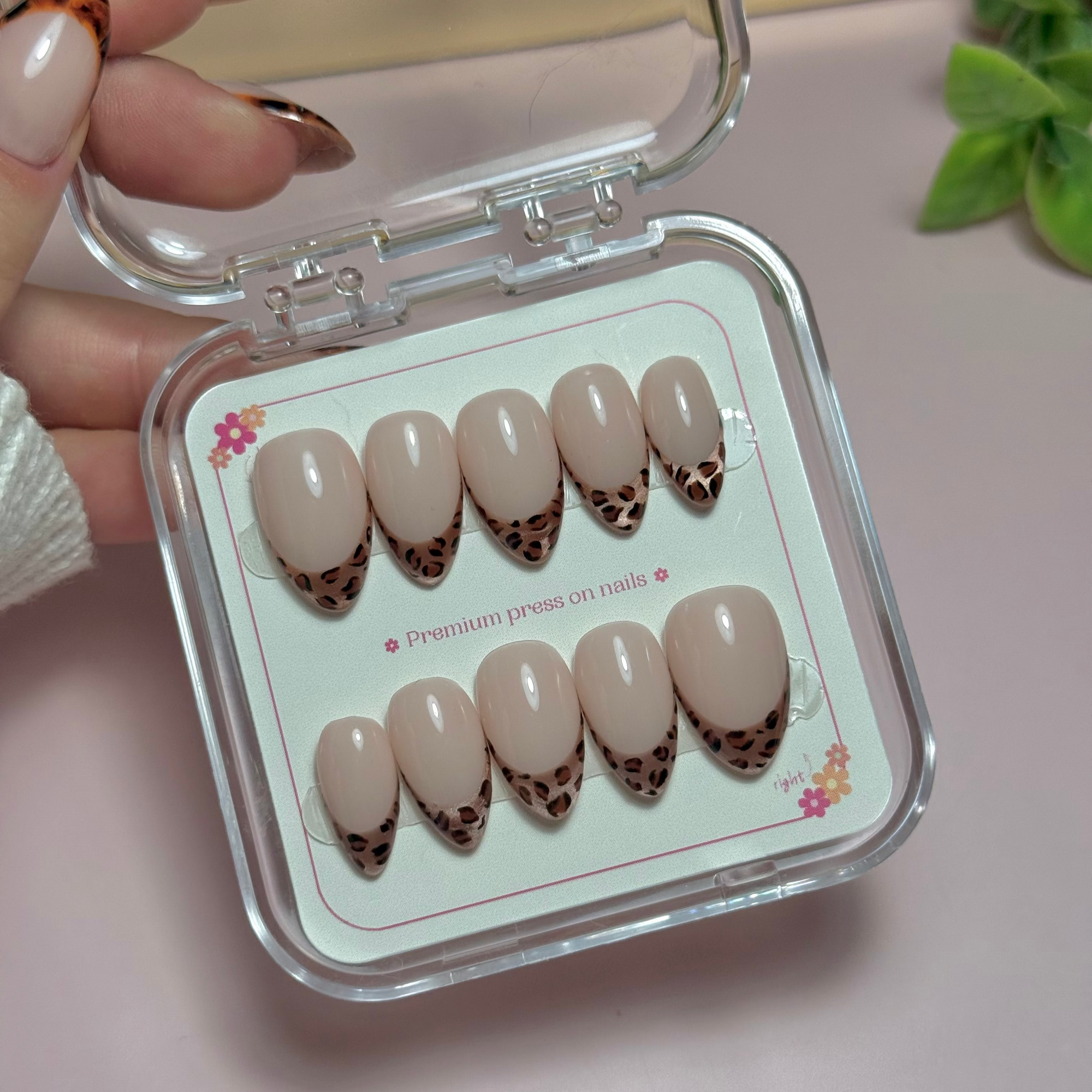 Wild French - leopard