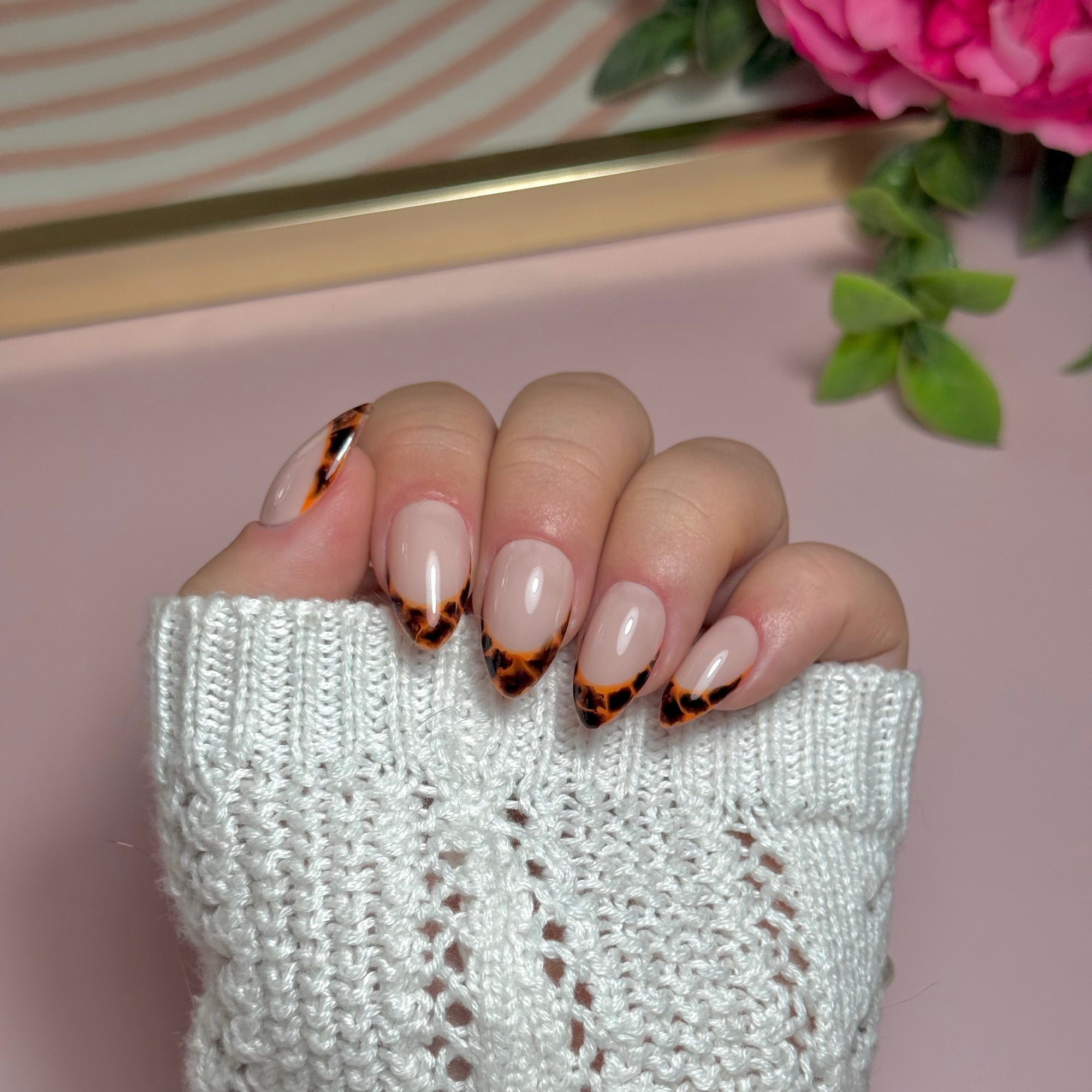 Wild French - tortie