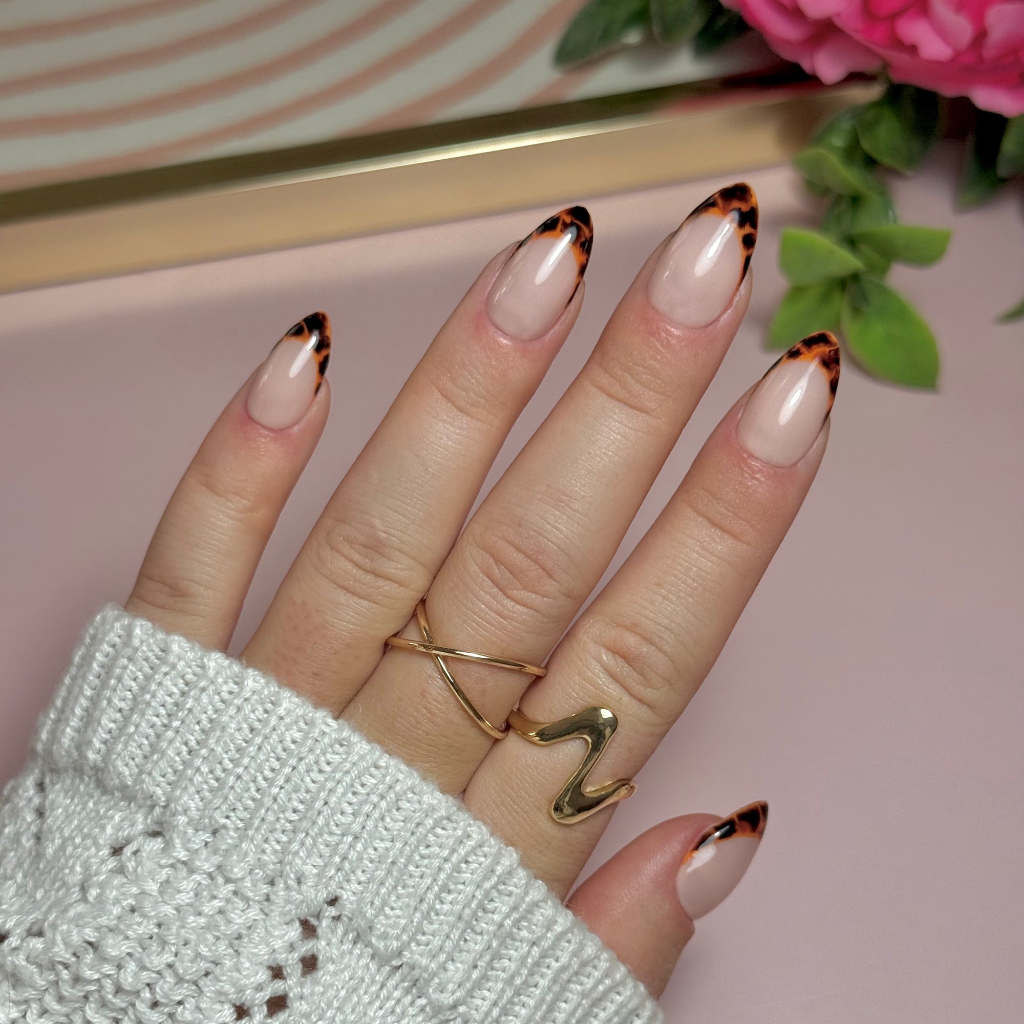 Wild French - tortie