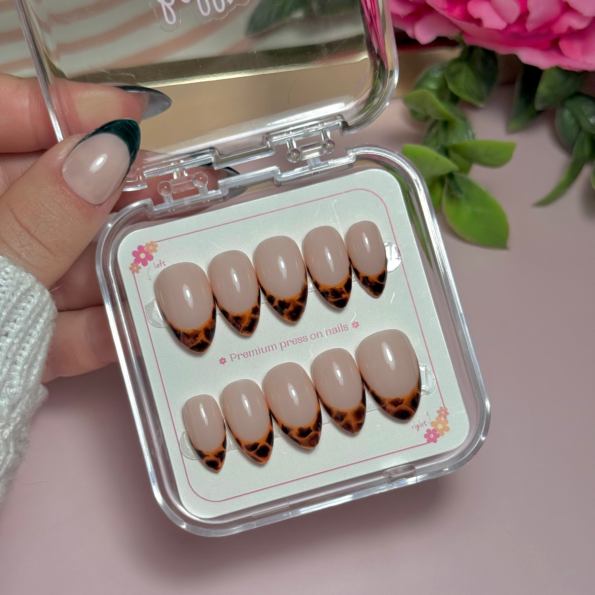 Wild French - tortie