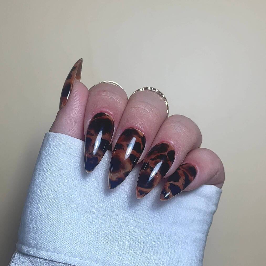 Tortoise Allure